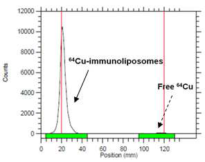 64Cu-면역리포솜의 분석. 64Cu-면역리포솜을 ITLC-SG를 이용하 여 분석함. 실선은 64Cu-면역리포솜을 가리키며 점선은 표지되지 않은 Cu-64를 가리킴