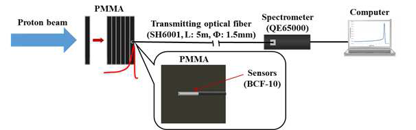양성자선의 브래그 피크 측정을 위한 실험구성