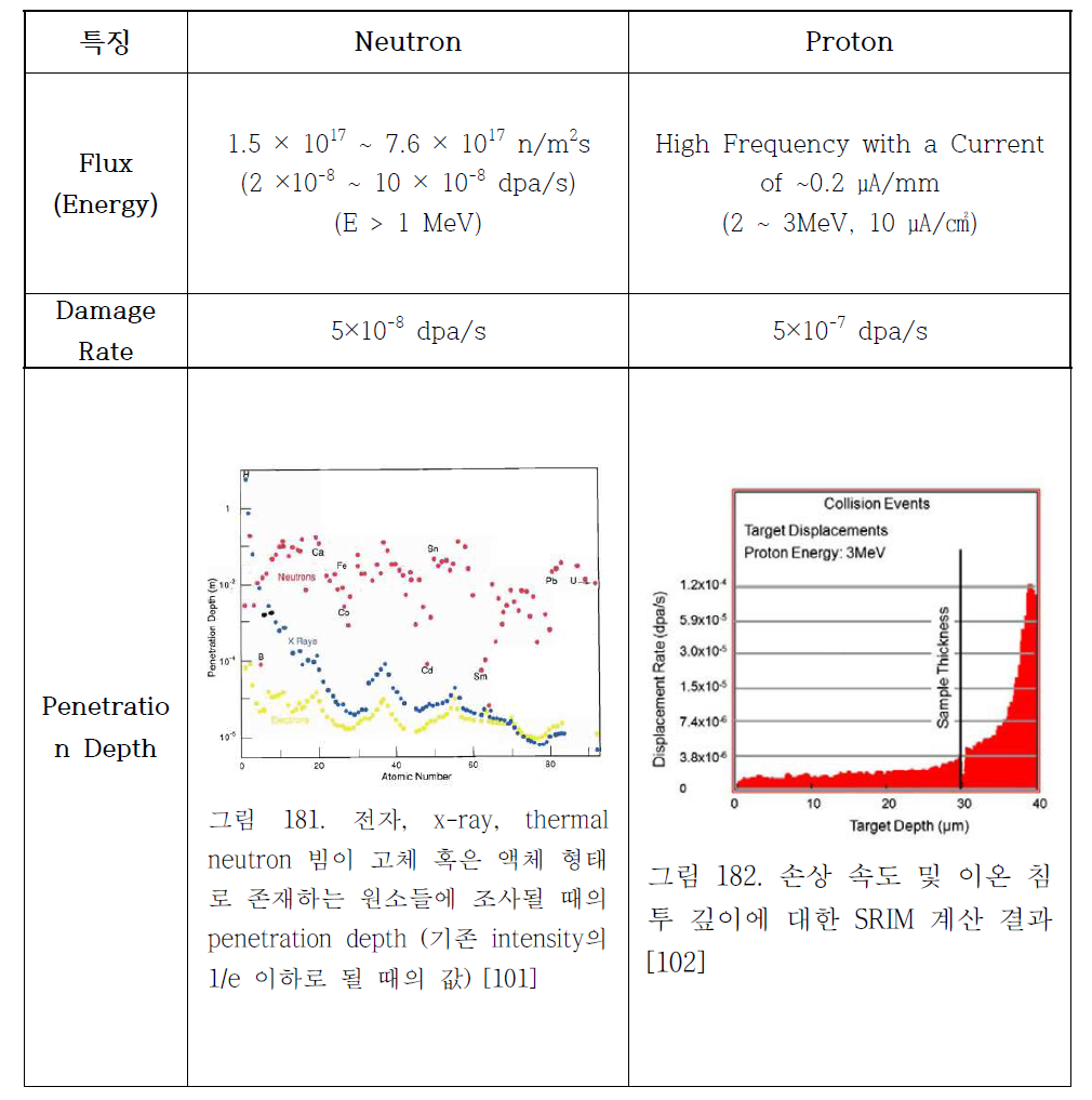 neutron 과 proton 비교 분석