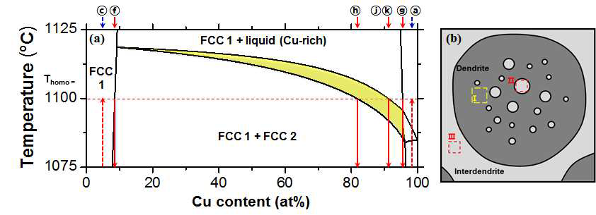 (a) 1075℃~1125℃의 온도 범위를 확대한 CrFeCoNi-Cu 준이성분계 상태도, (b) 균질화 처리 후 CrFeCoNiCu 하이엔트로피 합금의 미세구조에 대한 모식도