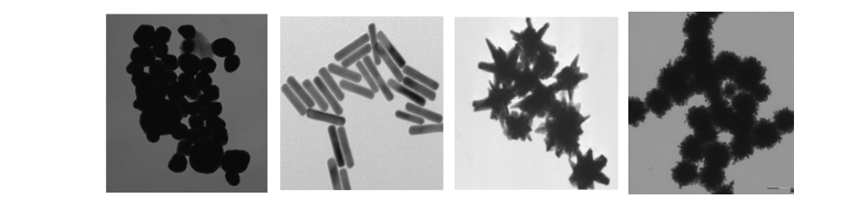 좌부터 gold nano sphere, gold nanorod, gold nano star, porous gold