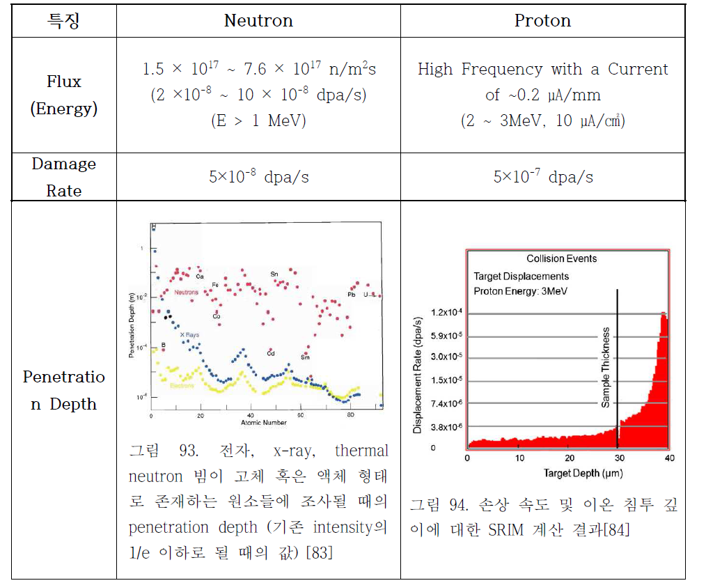 neutron 과 proton 비교 분석