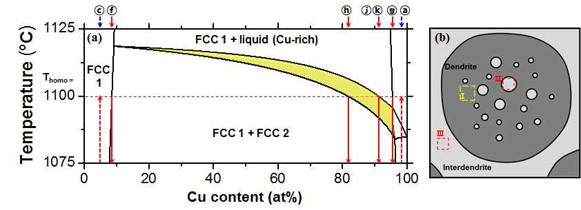 (a) 1075℃~1125℃의 온도 범위를 확대한 CrFeCoNi-Cu 준이성분계 상태도, (b) 균 질화 처리 후 CrFeCoNiCu 하이엔트로피 합금의 미세구조에 대한 모식도