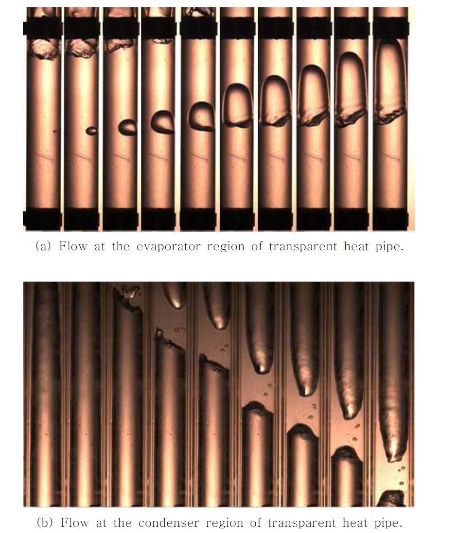 Flow of working fluid in the transparent heat pipe