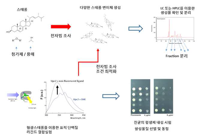 연구방법