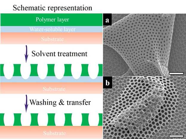 Schemes illustrating the fabrication of a micro-porous membrane via an improved phase separation method. FESEM images present (a) a wrinkled membrane and (b) a membrane covering over a dust. Scale bars are 20 μm