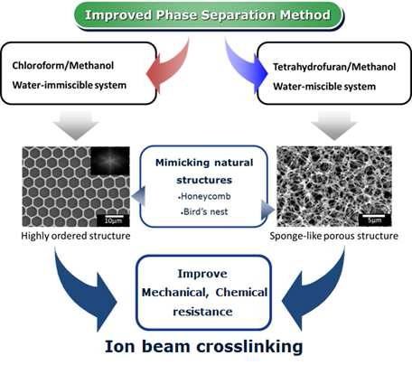 Scheme representing fabrication of robust membrane by combining method of IPS and E-Beam crosslinking