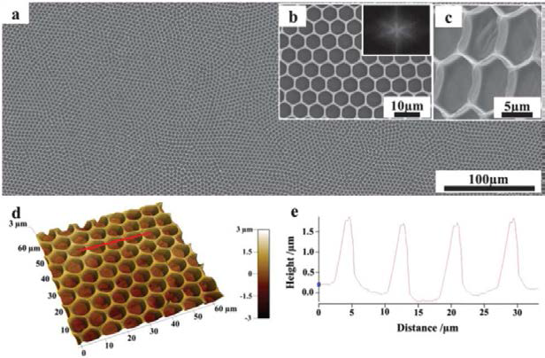SEM and AFM image of a typical honeycomb patterned film prepared with a solvent/non-solvent volume ratio of 85/15 at (a) low magnification, (b) high magnification with an inserted FFT pattern, (c) a tilt angle of 60 􌦙, (d) an AFM image and (e) AFM cross section analysis. The red line in (d) indicates the location of cross section (e)
