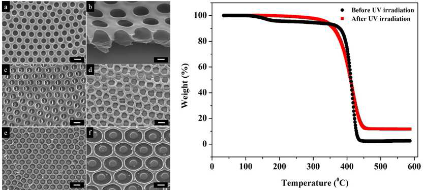 (Left) FESEM images of the crosslinked honeycomb films: (a) top-view image after 6 h of UV irradiation; (b) cross-sectional image after 6 h of UV irradiation; (c, d) honeycomb film surface after 6 h of UV irradiation followed by soaking in chloroform and acetone, respectively; and (e, f) honeycomb film surface after 6 h of UV irradiation followed by heating to 250 C: (e) top-view and (f) tilted 30. The scale bars in (a, c, d, e) are 3 mm and (b, f) are 1 mm. (Right) TGA plot of the PS honeycomb films before (black) and after (red) the 6 h UV irradiation