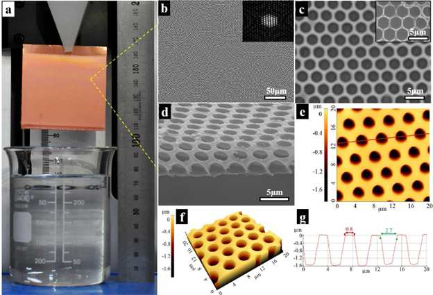 Photograph (a) presents the large-scale fabrication of the honeycomb film. Here, (b-g) present the surface morphologies of the typically patterned films prepared with a solvent/non-solvent volume ratio of 85/15 under an ambient air environment (i.e. relative humidity of 55% and temperature of 23 °C): (b) a low magnification FESEM image with the FFT pattern in the inset, (c) a high magnification FESEM image, (d) a cross-sectional FESEM image, (e, f) 2D and 3D AFM images, respectively, and (g) a cross-sectional profile of (e). The inset of (c) is a FESEM image of the patterned pincushion film. The red line in (e) indicates the location of the cross-sectional profile