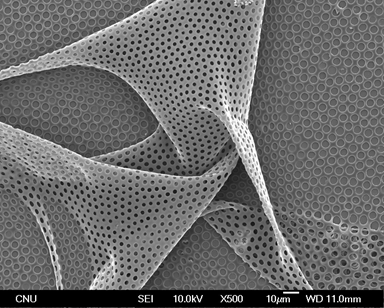 Figure 19. Back-side of perforated membrane