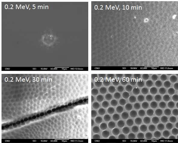 Solvent resistance examined by soaking honeycomb film in chloroform which is a good solvent for PS