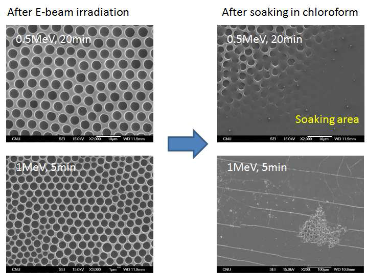 Effect of E-beam dose rate and irradiation time on the crosslinking degree of poly