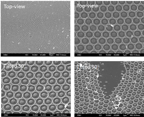 The thermal stability of the crosslinked films characterized via heating to 250 ℃ on a hot stage in air. The temperature was increased at a rate of 10 ℃/min and maintained at 250 ℃ for 2 h