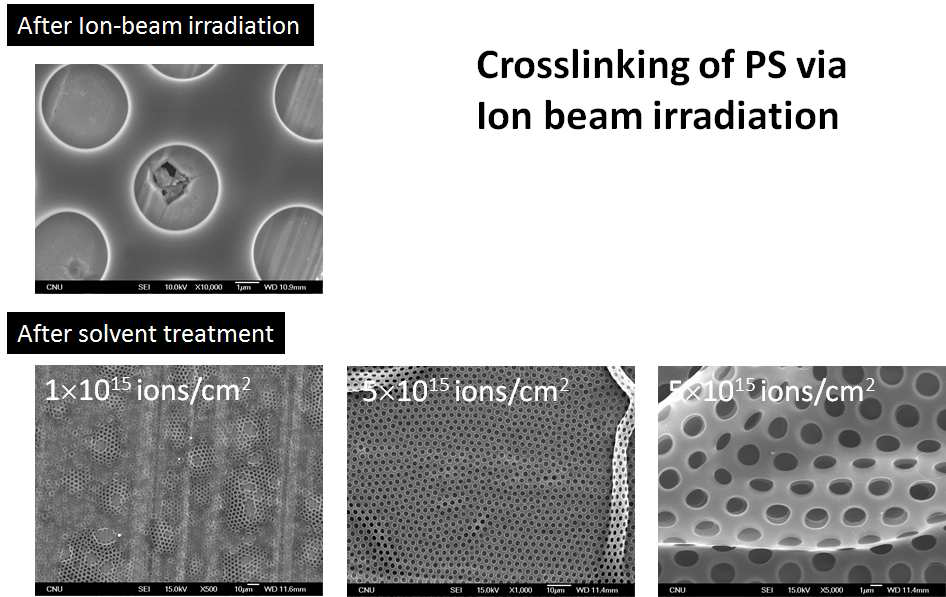 SEM image of surface morphology after Ion-Beam irradiation