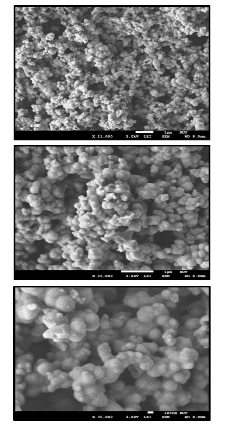 전자빔 조사 후 생성된 콜로이드 입자의 전자현미경(SEM) 이미지