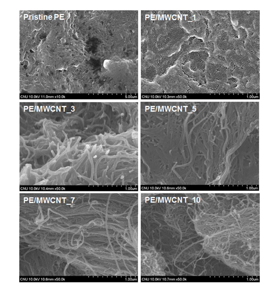 SEM images of fractured surfaces for pristine PE and its nanocomposite films with MWCNT contents of 1.0−10.0 wt%