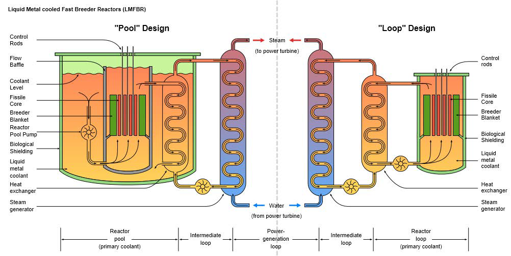 C.1. The Comparison of Pool and Loop Type Design of Liquid Metal Cooled Fast Reactor