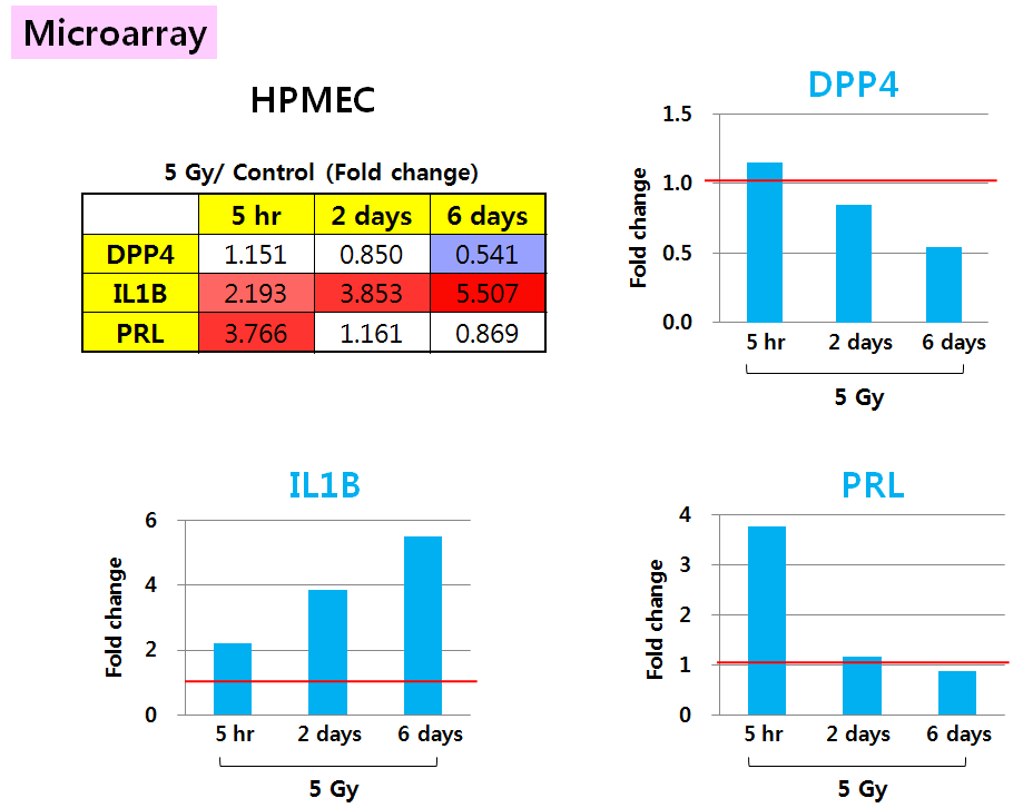 사람 폐의 미세혈관내피세포 (Human Pulmonary Microvascular Endothelial Cells; HPMEC) 에 방사선을 조사 (5 Gy)한 후, 방사선을 조사하지않은 세포와 조사한 세포의 mRNA 발현 변화를 Microarray로 분석함.