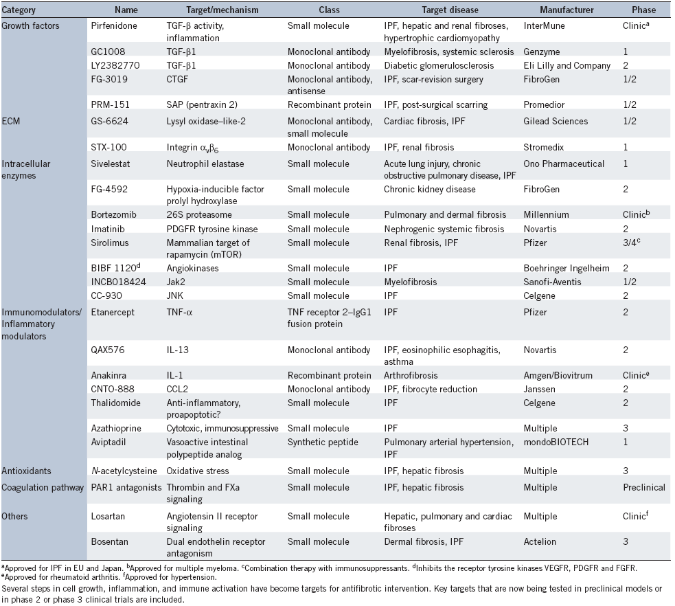 Antifibrotic strategies between bench and clinic