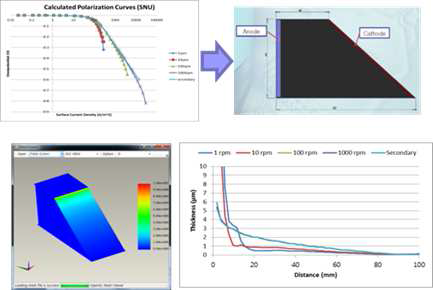 계산한 분극곡선을 적용한 3D 모델 및 결과