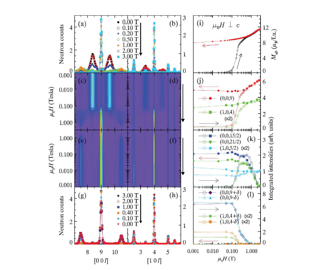 자기장에 따른 중성자 산란 데이터와 PPMS를 이용한 자기적인 모멘트