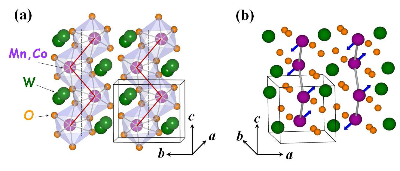 (a) Monoclinic Mn1-xCoxWO4의 Mn,Co가 위치한 zigzag chain, (b) Collinear commensurate AF1 phase의 up-up-down-down 자기스핀구조.