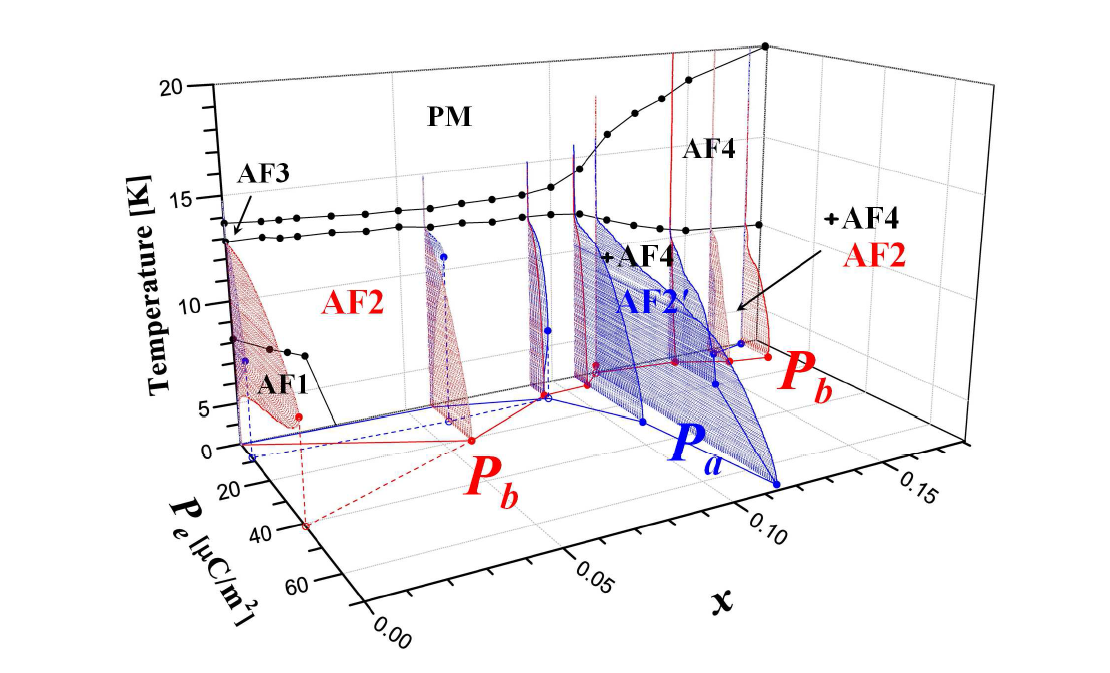 Co 도핑 효과에 따른 반강자성 자기스핀구조의 영역과 강유전극성(Pe)에 관한 x-T & Pe phase diagram.