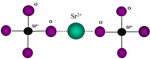 Silicate 유리구조에서 Sr2+ 이온결합