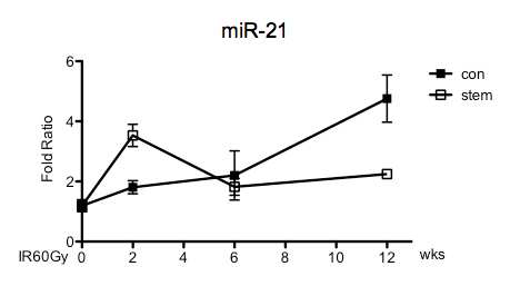 간엽줄기세포를 이식한 군에서 임상 유사 방사선 조사 후 시간 의존적으로 증가하는 miR-21 발현의 유의적 감소 확인