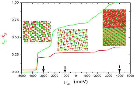 Monte Carlo simulations at T=773K in (a) with xU = 0.10