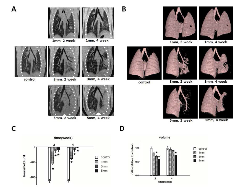 다양한 체적으로 방사선 조사 후 micro-CT 측정 결과