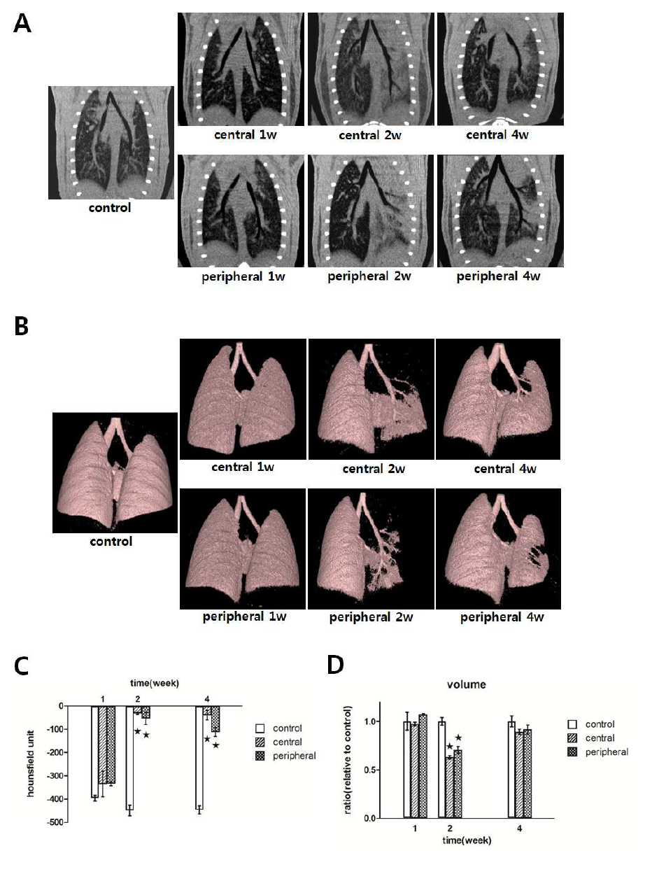 Micro-CT analysis