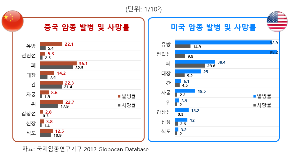 중국과 미국의 암종 발병률 및 사망률 비교