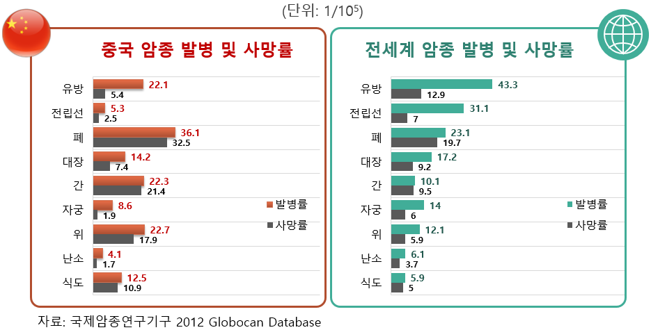 중국과 전 세계 암종 발병률 및 사망률 비교