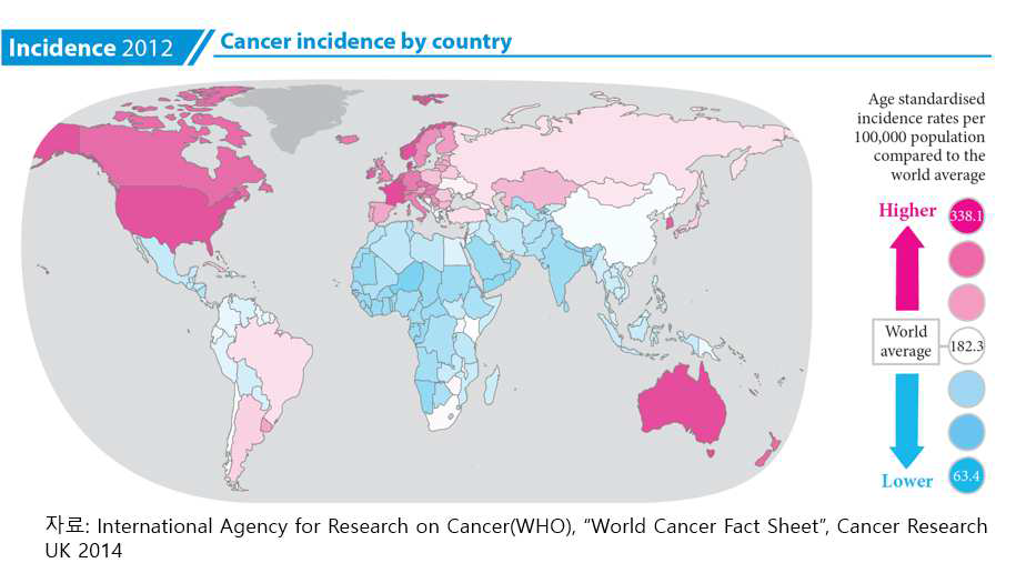 국가별 암 발병률