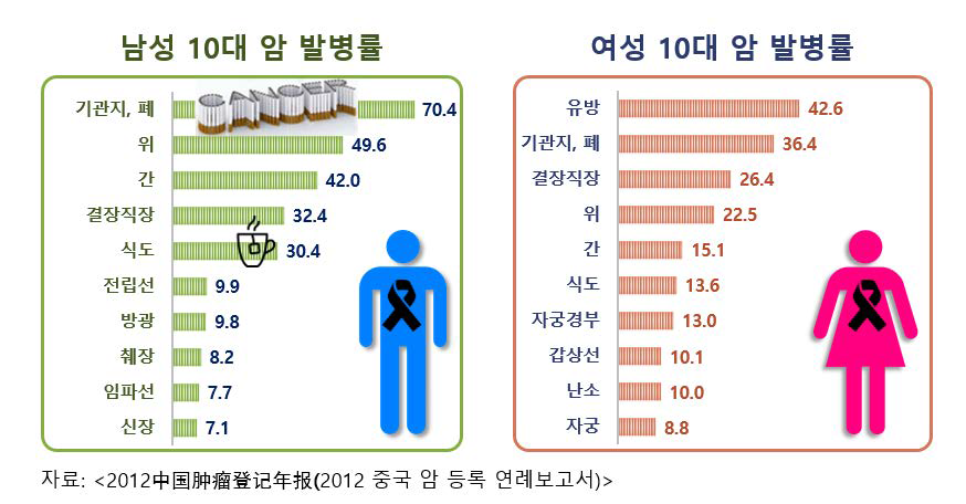 중국 암종별 십만명 당 발병률