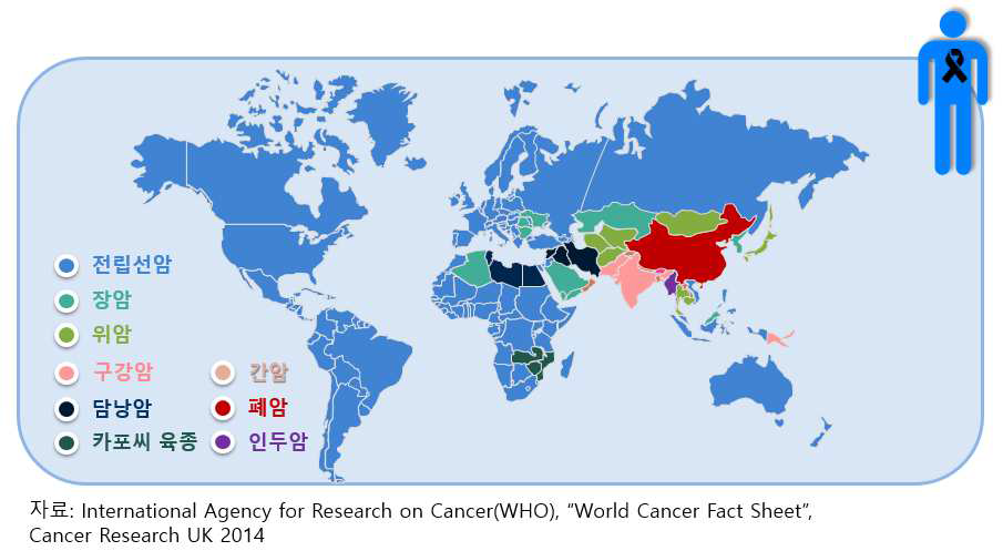 국가별 남성 최고 발병빈도 암종