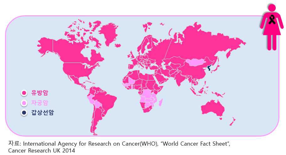 국가별 여성 최고 발병빈도 암종
