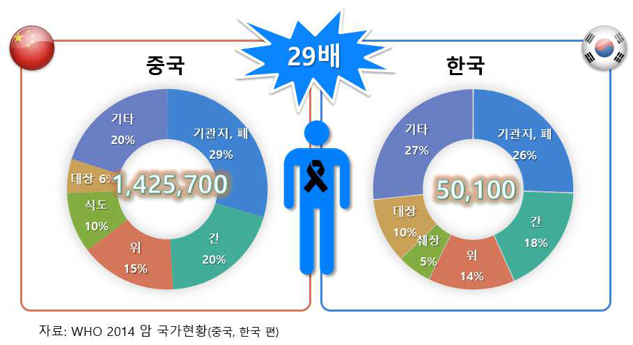 중국과 한국의 남성 암종 사망 현황