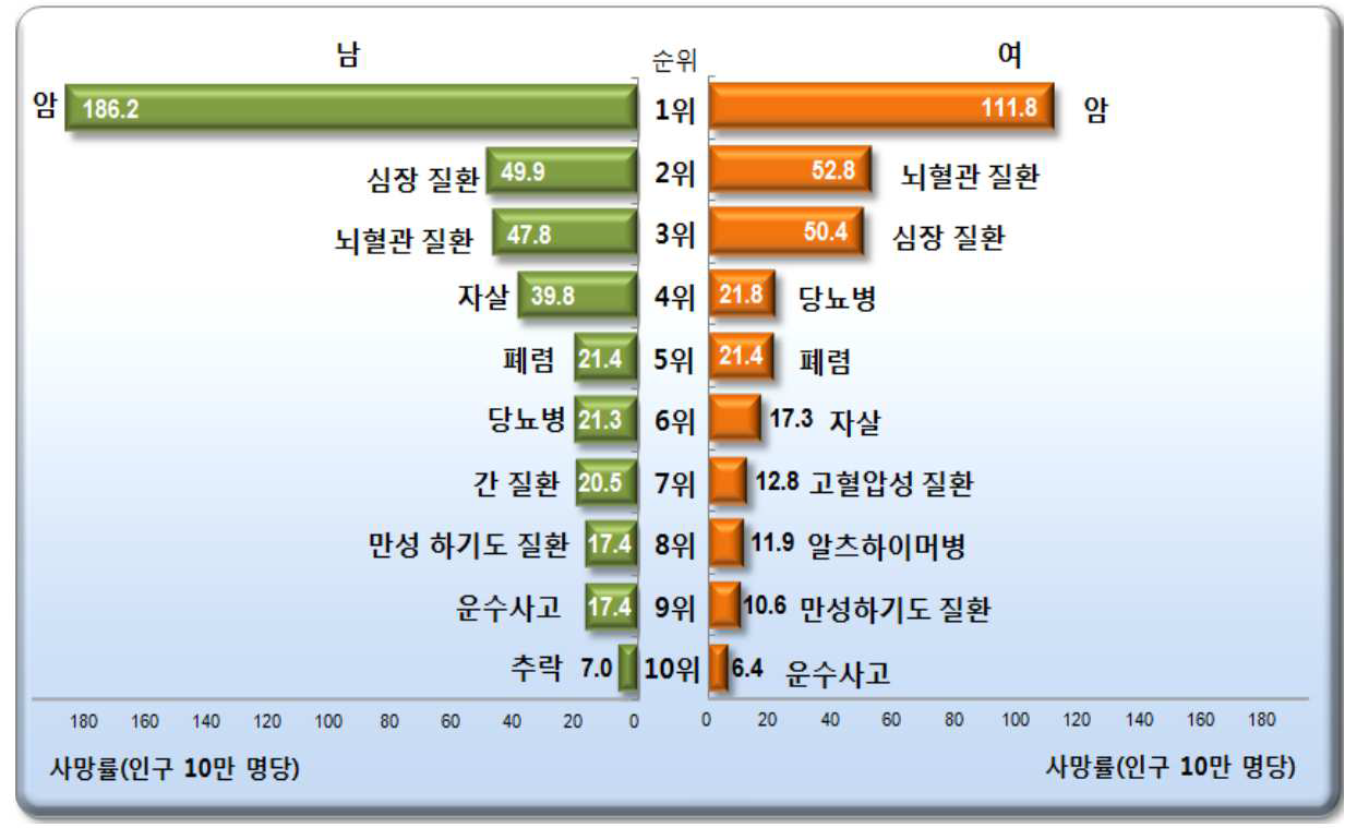 2013년 성별 사망원인 비중