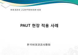 PAUT 현장적용 사례