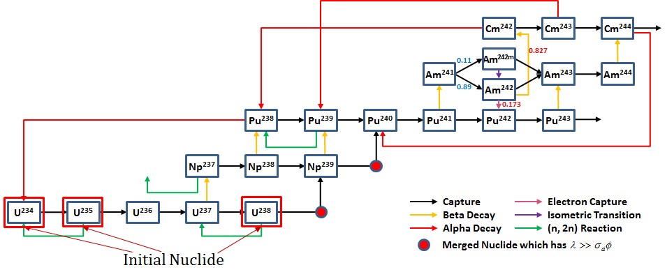 Depletion Chain of 22 Heavy Nuclides