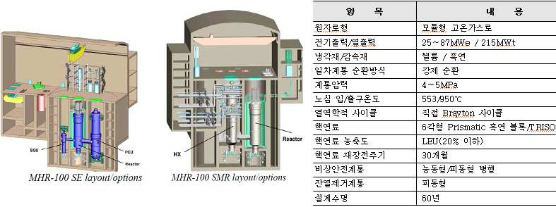 MHR-100SMR 원자로113)