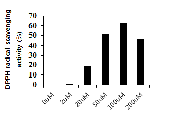 DPPH Radical scavenging activity assay