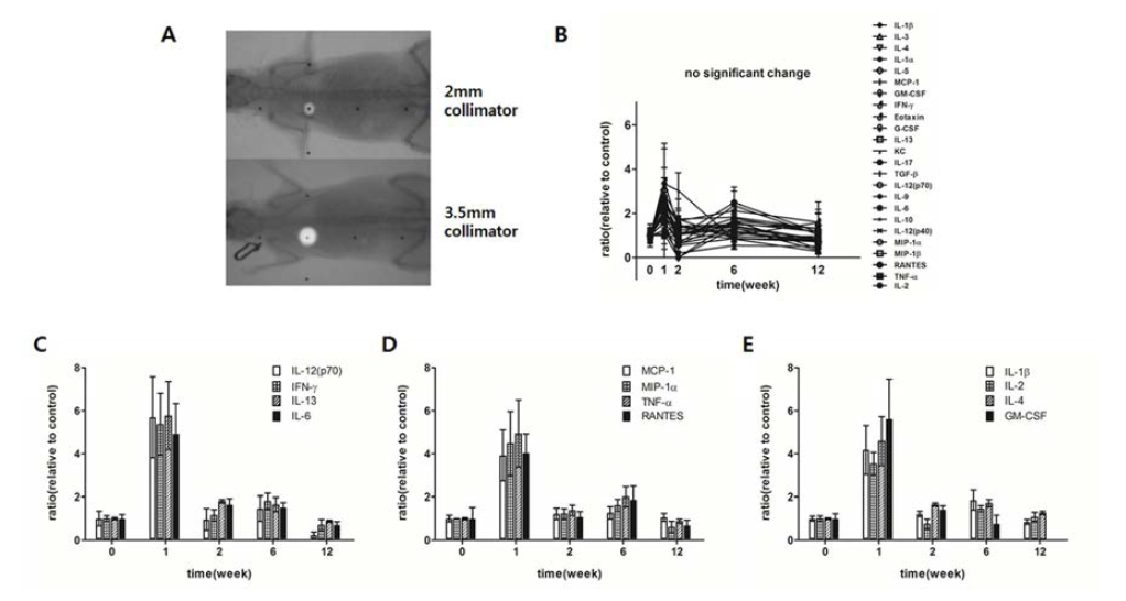 폐에 고선량미세방사선 조사를 받은 마우스 혈액의 cytokine 농도