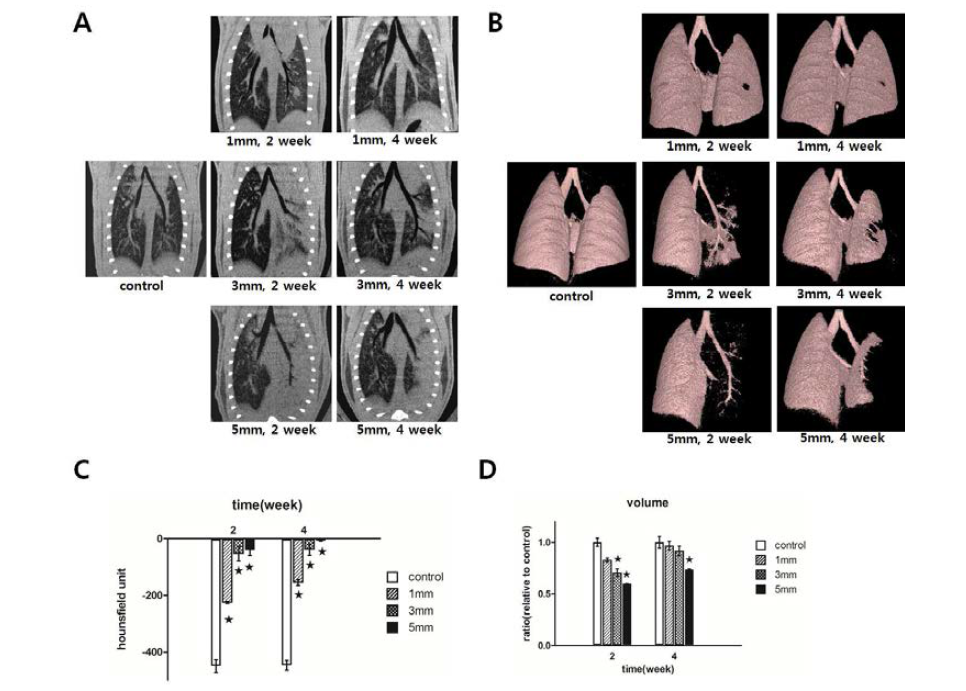 다양한 체적으로 방사선 조사 후 micro-CT 측정 결과