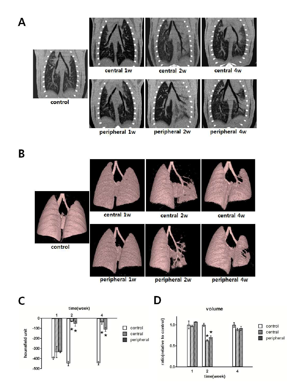 Micro-CT analysis