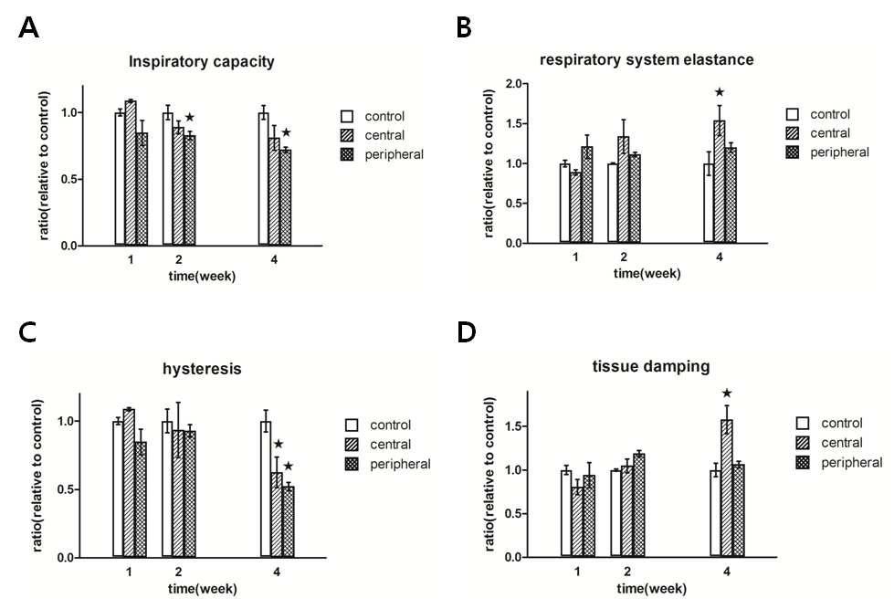 Functional evaluation of mouse lung after irradiation