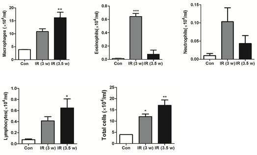 Effect of irradiation on immune cell profiles in BAL fluid.